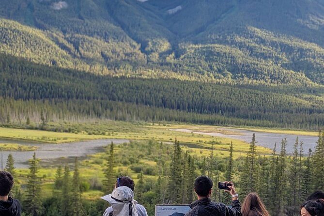 1 Day of Banff Viewpoints Lakes Bow Valley in Private Custom Tour - Lake Louise: the iconic shoreline stop with a full hour plus