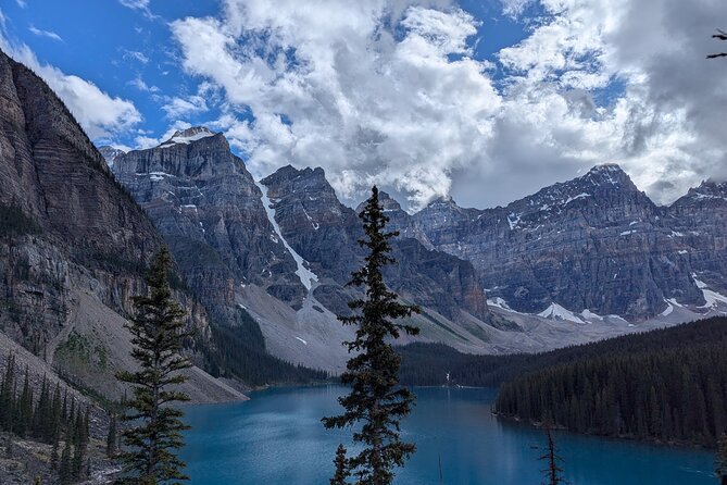 1 Day of Banff Viewpoints Lakes Bow Valley in Private Custom Tour - Moraine Lake option: worth it, but you have to select it