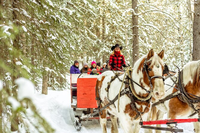 1 Hour Shared Winter Sleigh Ride Experience in Kananaskis - Key Highlights Worth Planning For
