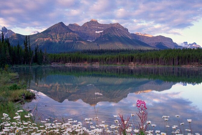 2-3 Days Lake Louise Moraine Gondola Johnston Canyon Icefield - Should you book this Lake Louise–Moraine–Icefields tour?