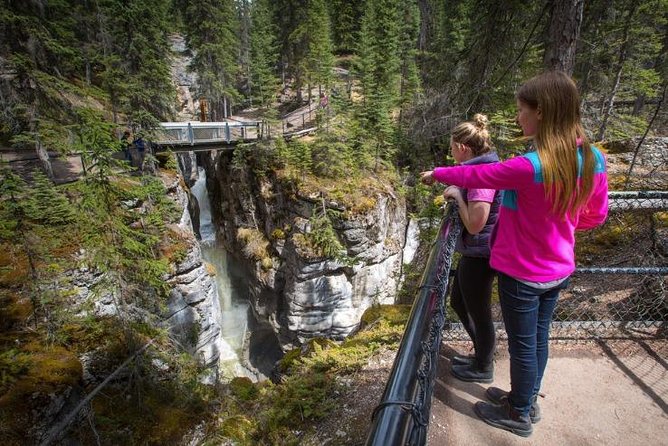3-Day Authentic Jasper National Park Packaged Tour - Day 2: Jasper National Park classics from Sunwapta Falls to Maligne Lake & Spirit Island