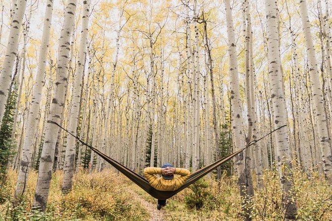 3-Day Authentic Jasper National Park Packaged Tour - The guide experience: why Lisa, Jayla, and Ray type of energy matters