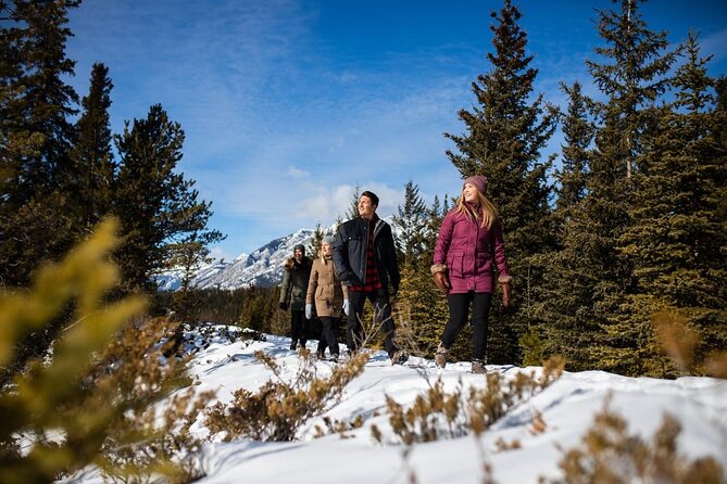 3-Day Rockies Express Tour Package: Banff, Lake Louise and Yoho - Group Size and Pacing: The Thing You Should Actually Plan For