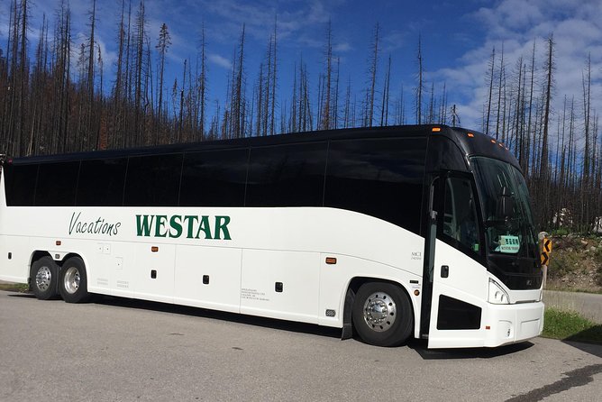 3 Day Rocky Mountains Columbia Icefields Banff and Yoho NP Tour - Time, timing, and group size: what it feels like on the bus