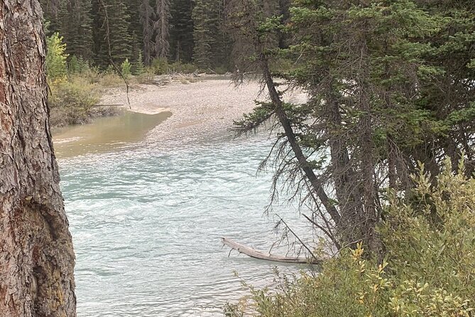 Airport Shuttle: Lake Louise <---> Calgary - The 3-Hour Drive: Timing, Comfort, and Weather Reality