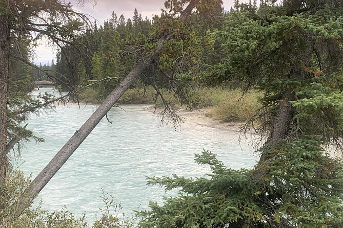 Airport Shuttle: Lake Louise <---> Calgary - Should You Book This Shuttle? My Decision Checklist