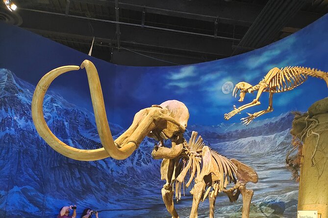Badlands Tour: Drumheller with Museum, Hoodoos & Dinosaurs - Royal Tyrrell Museum: where the fossils feel real (and you see how they’re made)