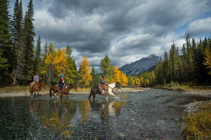 Banff: 4-Hour Sulphur Mountain Intermediate Horseback Ride - Who This Horseback Ride Is Perfect For (and Who Should Skip It)