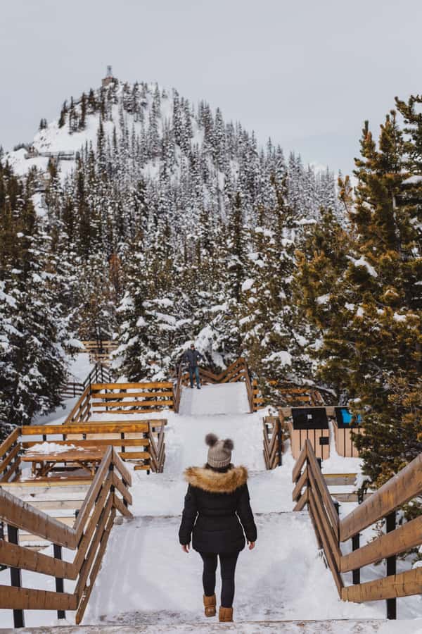 Banff: Banff Town, Gondola, and Johnston Canyon Day Tour - Sulphur Mountain Gondola: The Best Mountain Photos per Minute