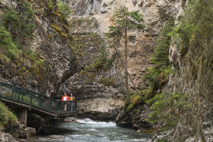 Banff: Banff Town, Gondola, and Johnston Canyon Day Tour - Johnston Canyon Waterfalls and Catwalks: What You’ll Actually Do