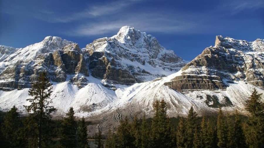 Banff/Calgary/Canmore: Crowfoot Glacier and 5 Lakes Tour - Herbert Lake and Bow Lake: the quieter stops that feel earned