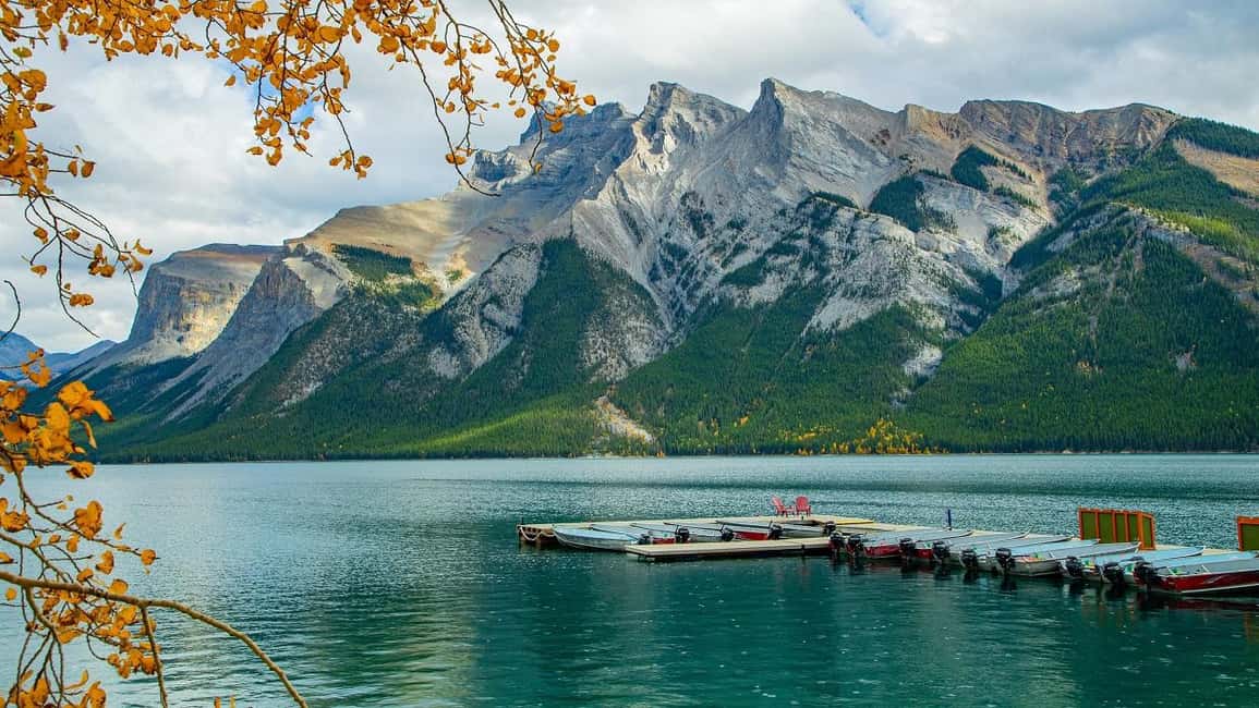Banff/Calgary:Banff National Park&Johnston Canyon 1-Day Tour - Banff Avenue and time in town: where the day becomes yours