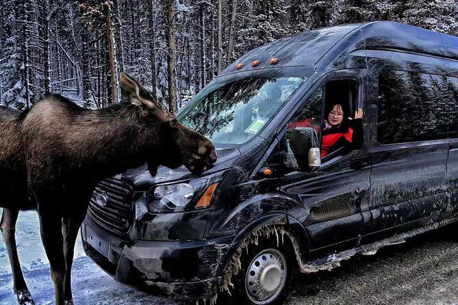 Banff/Canmore: Moraine Lake and Lake Louise Shuttle-90m each lake - The Shuttle Ride: Comfort, Group Size, and Real Driver Help