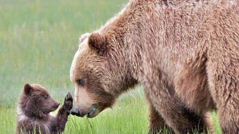 Banff/Canmore- Moraine Lake & Louise-Morning or Sunset Tour - Who this tour fits best (and who should think twice)