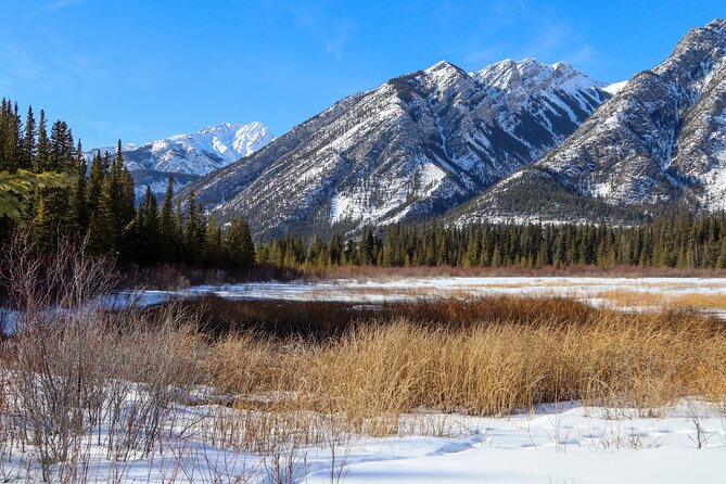 Banff Cave & Hot Springs Audio Walking Tour (Not a Ticket) - Sulphur Mountain and the Cosmic Ray Station angle