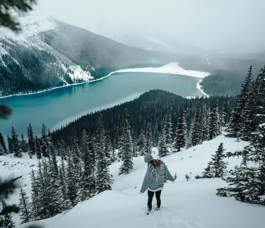 Banff: Columbia Icefield, Skywalk, Parkway, Bow & Peyto Lake - How the Icefields Parkway day gets you from Calgary to glacier country