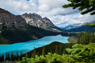 Banff: Columbia Icefield, Skywalk, Parkway, Bow & Peyto Lake - Columbia Icefield: where your day turns from scenery to scale