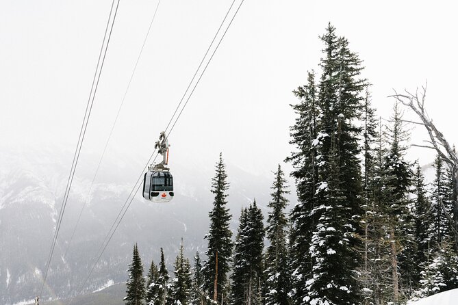 Banff Gondola & Lake Minnewanka Cruise Combo - Sulphur Mountain gondola: the view first approach