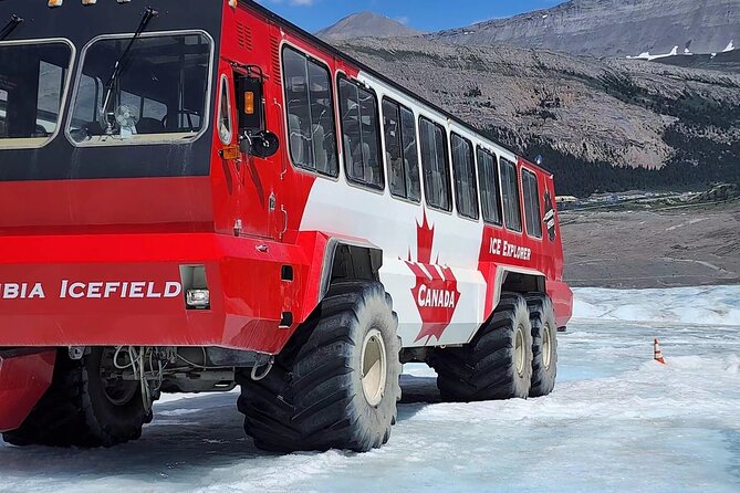 Banff Icefield Parkway Private Full Day Tour - Peyto Lake: The One Walk That Changes the View