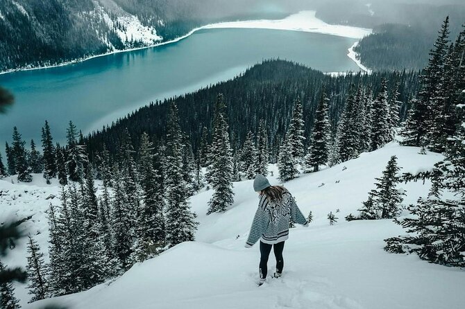 Banff: Lake Louise, Marble Canyon, Bow Lake, Peyto Lake Tour - A day made of “wow” stops, not one long single sight