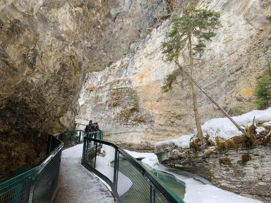 Banff, Lake Louise, Moraine ,Emerald & Johnston Canyon tour - Banff town time, Vermilion Lakes, and wildlife spotting chances