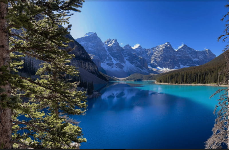 Banff - Lake Louise Moraine Lake and Icefields Parkway Tour - Key points to know before you go