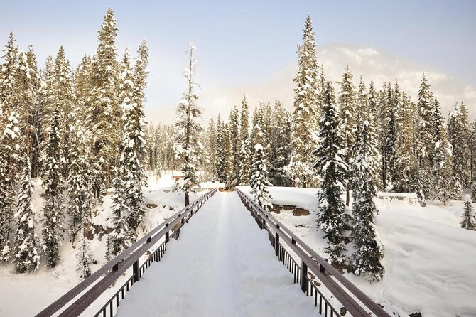 Banff, Lake Louise & Yoho National Parks 2-Day Tour - Calgary to the Rockies: coach comfort and a stress-free start