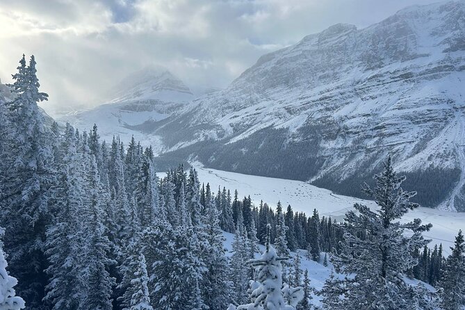 Banff Lakes and Canyon Adventure - What you actually get for the price (and what you still need to plan)