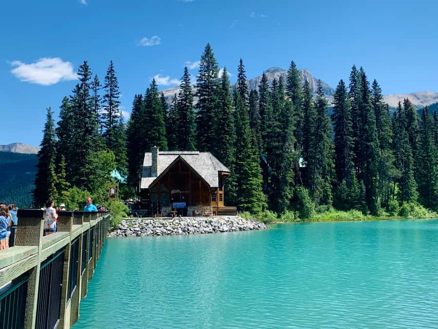 Banff: Moraine Lake, Lake Louise, Emerald Lake and Yoho Trip - Wildlife and guide storytelling: how the experience feels on the ground