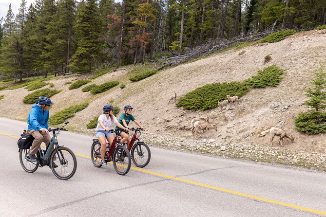 Banff Mountain Lakeside - E-bike Tour - Key points to know before you go
