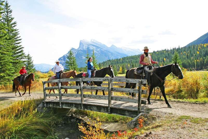 Banff National Park: 2-Hour Sundance Loop Horseback Ride - Sulphur Mountain climb and Windy Knoll: where the photos earn their keep