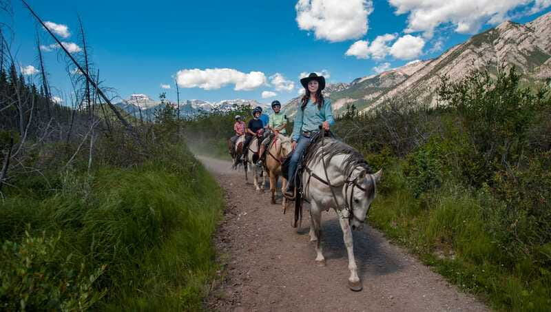 Banff National Park: 2-Hour Sundance Loop Horseback Ride - Thick marshes and forest trails: the part that feels different on horseback