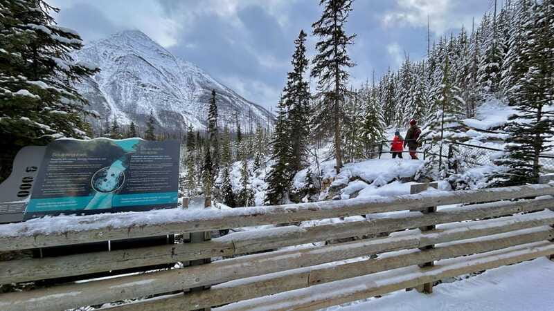 Banff National Park: Canyons, Lakes & Local Favourites - Pacing, Walking Comfort, and What to Pack for This Canyon-and-Lake Mix