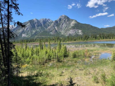 Banff PRIVATE Guided Nature Walk + Transportation - 2.5H - The short coach ride: how the guide shapes your day