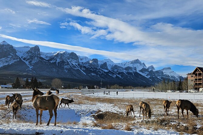 Banff Private Tour - Beyond the basics - Private pickup from Calgary: where the day gets easier fast