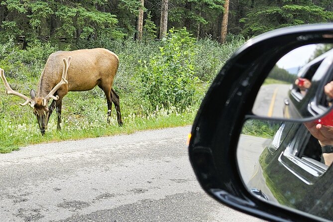 Banff Private Tour - Beyond the basics - Two Jack Lake and Lake Minnewanka: small stops that hit hard