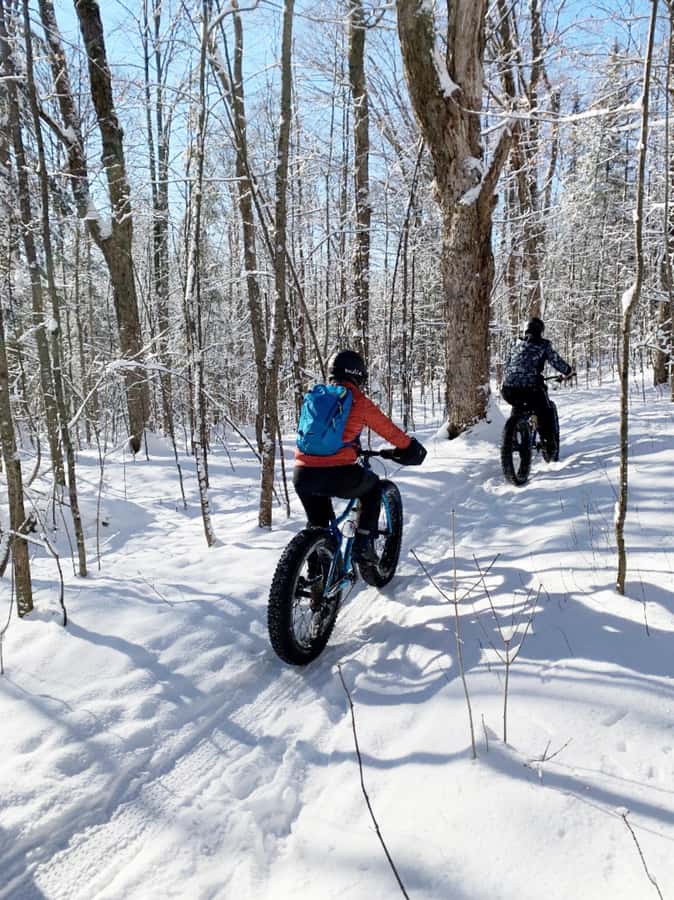 Banff Top Sights via Electric Fat Bike Tour All Skill Levels - How the route adapts to snow, sun, and trail conditions
