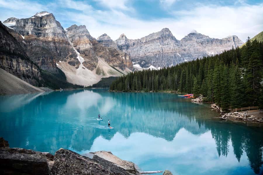 Banff Town: Lake Louise Moraine, Glacier, Peyto & Bow Lake - Peyto Lake from Bow Summit: The Wolf Shape Moment