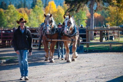Banff: Wagon Ride with Cowboy Cookout BBQ - Bow River hour: Cave and Basin to the BBQ at 3 Mile Cabin