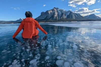 Banff Winter Day Tour: Lake Louise Ski Resort & Abraham Lake - Price, Timing, and What $118.86 Really Buys You