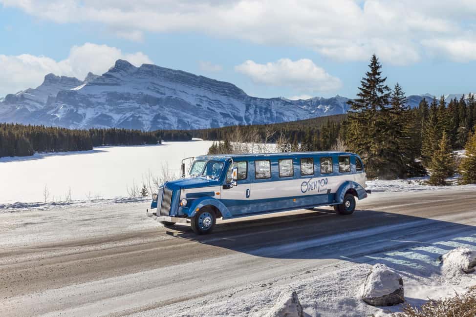 Banff: Winter Tour with Dinner & Nightrise at Banff Gondola - Banff Avenue, Bow Falls, and the Fairmont Banff Springs Hotel Views