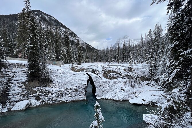 Banff, Yoho, and Icefield Parkway Private Tour - Lake Louise: 90 minutes with the Fairmont area in your sights