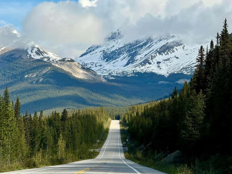 Calgary Banff: Columbia Icefield, Skywalk and Lakes Day Tour - Price and Value: Does $49 Make Sense for This Day?