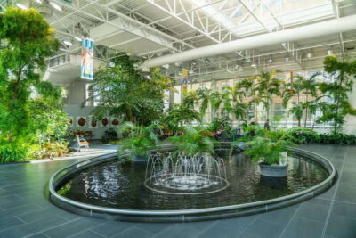 Calgary: City Highlights Walking Tour | 3-Hour - Meeting at The Edison: where to find your red umbrella