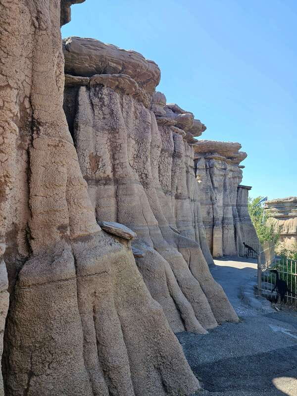 Calgary City Tour & Yamnuska Wolfdog Sanctuary Private Tour - Optional Calgary Zoo: if you love conservation and a longer afternoon