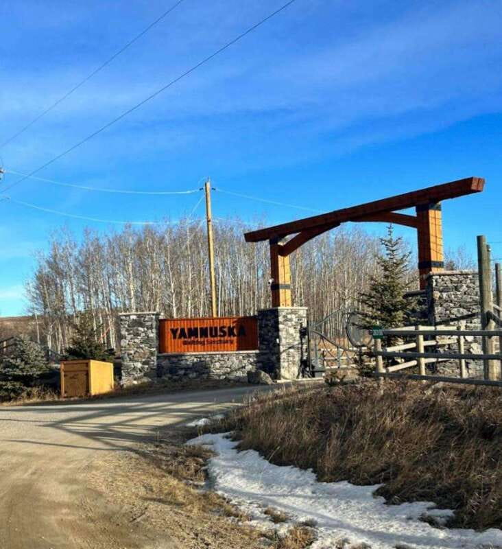 Calgary City Tour & Yamnuska Wolfdog Sanctuary Private Tour - CrossIron Mills shopping stop: a useful closer if you want something concrete