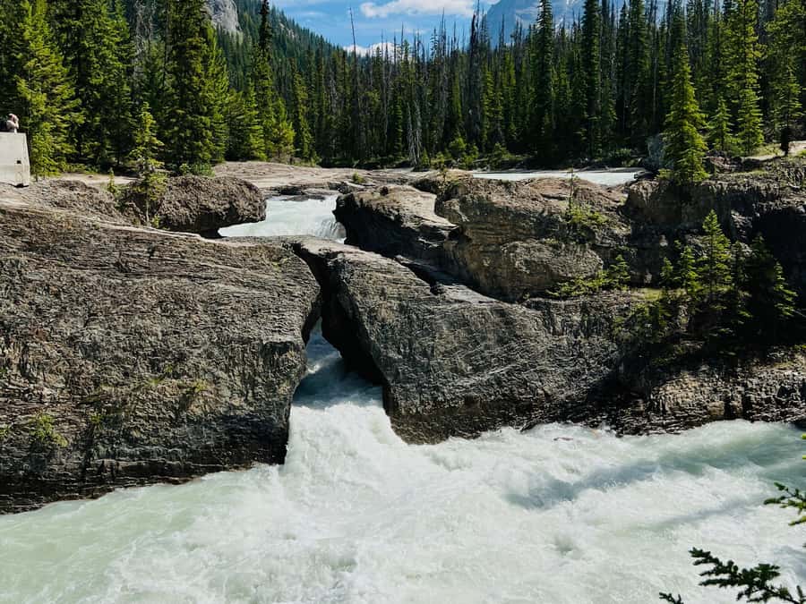 Calgary: Lake Louise, Moraine Lake, & Emerald Lake Tour - Guides, vehicles, and timing: where quality shows up