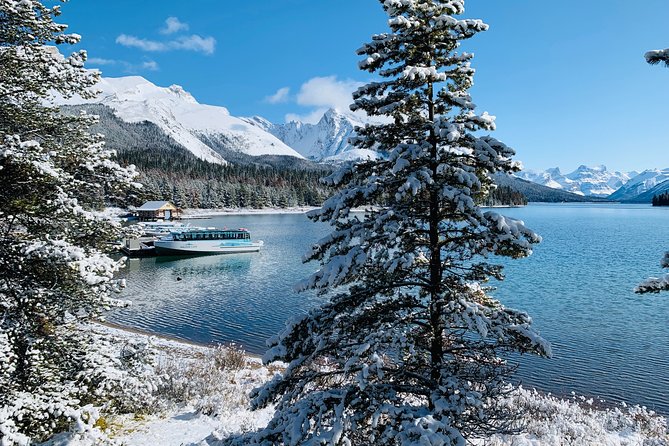 Calgary to Banff (Canmore) Public Shuttle - Inside the Shuttle: Comfort, Cleanliness, and Luggage Rules
