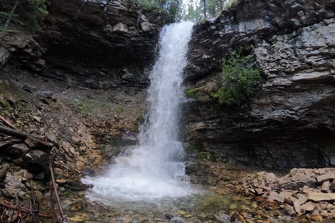 Calgary to the Rocky Mountains Private Day Tour - From Calgary to the Foothills: Why This Day Tour Works