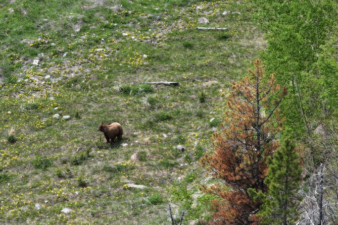 Calgary to the Rocky Mountains Private Day Tour - Barrier Lake: Where You Choose Your Adventure Level